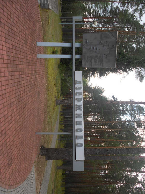 DSCN3454