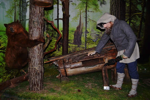 museum nature